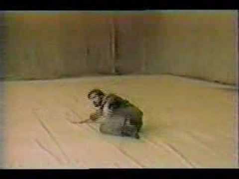 Systema Flexibility training