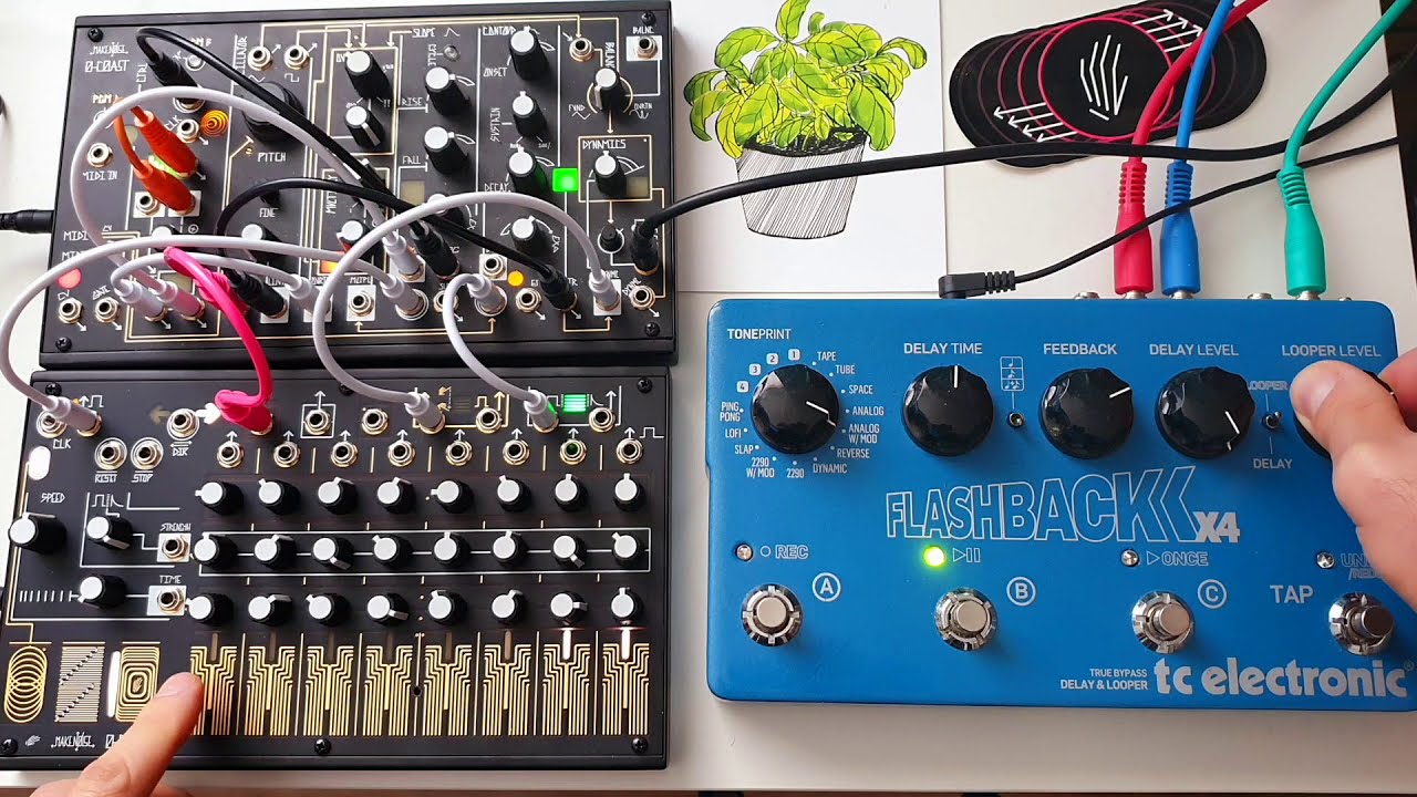Make Noise Music Easel (0-coast & 0-ctrl & Strega!) - Equipment