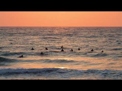 Gino Paoli - "Sporca Estate" (Piero Ciampi)