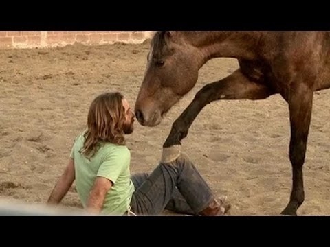 The Hound of Horses with Martin Otocheco - Atlixco