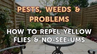 How to Repel Yellow Flies & No-See-Ums