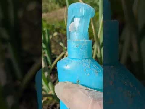 効果的な自家製点滴灌漑を導入するにはどうすればよいですか?自分で組み立てる 5 つ以上の DIY!  庭園