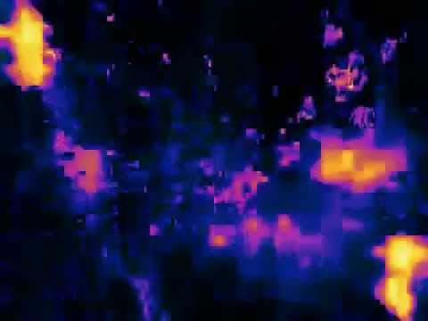 Lullabad - Pacotille (Phonogenic Remix)