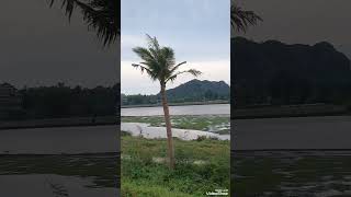 ❤️5.4 #다낭 날씨 #Thời tiết hôm nay #실시간 #자막설명 #danang  #travel