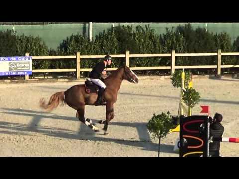 BENJAMIN LE COMTE - TONIK DES LINIERES - STRAZEELE CSI * VITESSE 1.40M (2016 03 12)