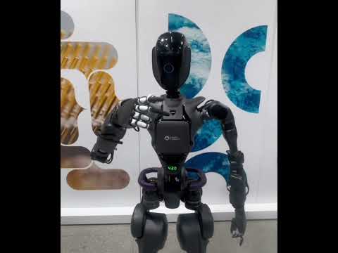 WATCH the intelligent Fourier Humanoid Robots which Xi inspects during his visit to Shanghai