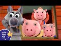 3 Little Pigs Story Time Nursery Rhymes And Kids Songs Little Baby Bum