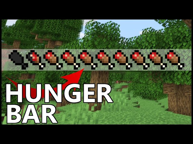 The fastest way to lose hunger in minecraft