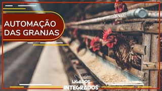 Miniatura do vídeo