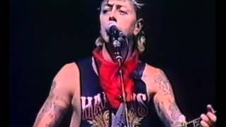 Shady Grove   Stray Cats