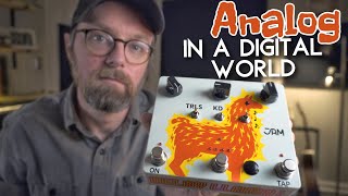 Video thumbnail for Jam Pedals Delay Llama Extreme - Analog in Digital World? by Michael W. Westbrook