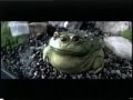 Opening To The SpongeBob SquarePants Movie 2005 VHS
