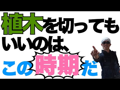 絶対知っておきたい4月・5月に剪定してはいけない植物8選  庭園