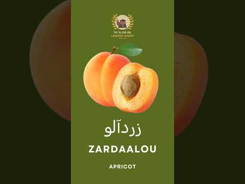 Persian language with teacher Eli