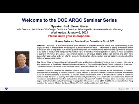 Bosonic Codes and Quantum Error Correction in Circuit QED