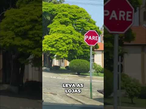 Explore a Cidade  Girafa Gigante, Vistas Incríveis e Charme Local!