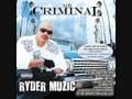 Mr. Criminal-Young, Brown And Dangerous
