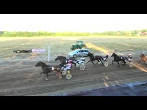 Trka "Opština Velika Plana" 31.7.2022. Gracieuse Bricoise - Bogdanović Aleksandar