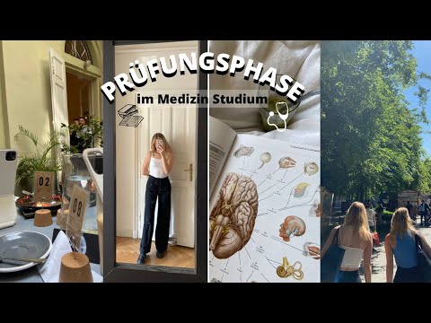 Anatomie Prüfung nicht bestanden?, exam day, studying, mit Druck umgehen, … II Marieke Emilia