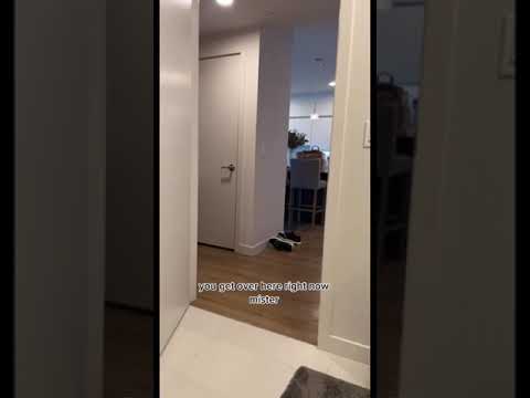 MY CAT KNEW HE WAS IN TROUBLE 😂 #shorts