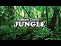 Aakash Gandhi - Jungle