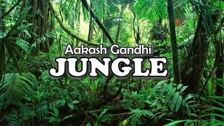 Download lagu Aakash Gandhi - Jungle mp3