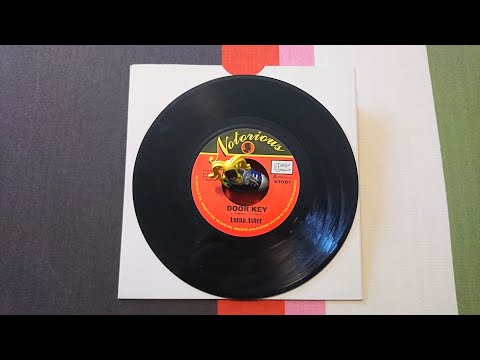 THE DOOR LORNA ASHER DOOR KEY