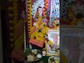 Gauri Ganpati 2022 Ganpati Decorations Gauri Ganapati Sajavat Shorts Youtubeshorts Reels Ganpati