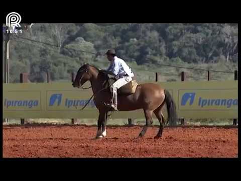 Classificatória Região SC/PR – 4° lugar fêmeas – Jotace Tenteadora (Prova: Bayard/Sarmento)