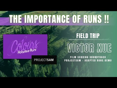 The Importance of Runs!! Projectsam Adaptive Runs demo