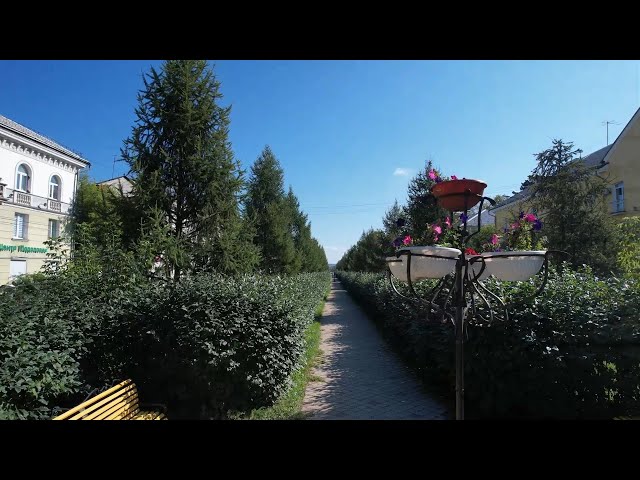 В Ангарске приступили к озеленению