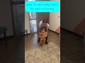 When Baby Is Learning To Walk It S Best To Stimulate Walking Naturally Chiropractic Chiropractor