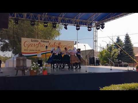 Pákozdi Napraforgók - Somogyi pillanatok