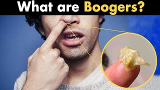 What are nose Boogers?