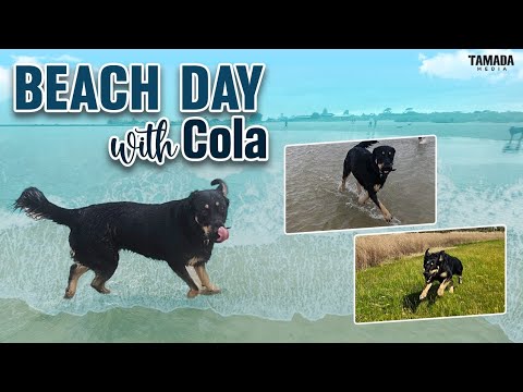 Beach day in Australia || GoPro POV || Ikada Ela With Goutham || Tamada Media