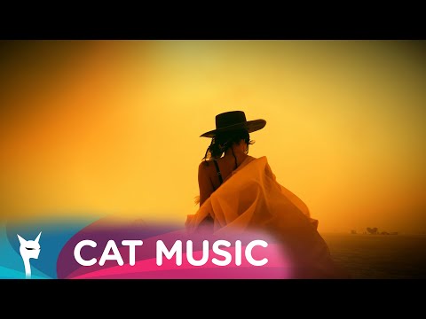 Havana x Steve Ant - Ego | Visualiser