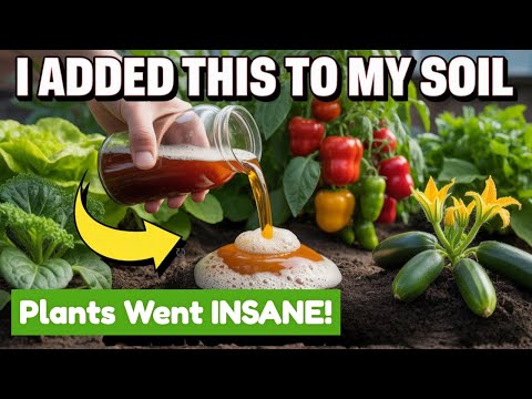 The Forgotten Yeast Secret That EXPLODED My Garden (Ancient Technique)