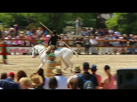 DUBUS,VIRGINIE 915, BEL - World Championship Working Equitation 2018