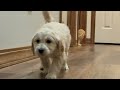 Thumbnail image 13