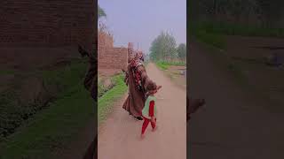 Download lagu Anti Ne Rasta Diya Ya Surprise? 😂 | Funny Street Moment | Pakistani Short Comedy #funnycomedy #jokes mp3 Download lagu Anti Ne Rasta Diya Ya Surprise? 😂 | Funny Street Moment | Pakistani Short Comedy #funnycomedy #jokes mp3