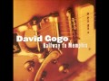 DAVID GOGO(Canada) - Soul Fever 