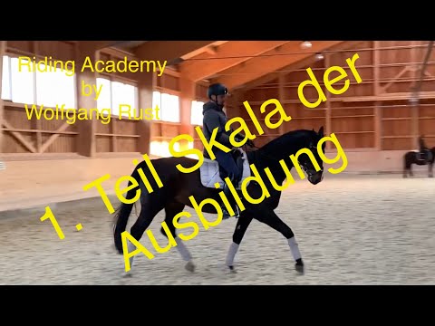 F22: Part 1: Training Scale. Rhythm, Looseness & Contact. Learning to Ride Horses Correctly.