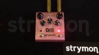 Strymon DiG Dual Digital Delay Pedal