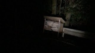 京都御所ライブ（心霊スポット巡り）御所ではありません