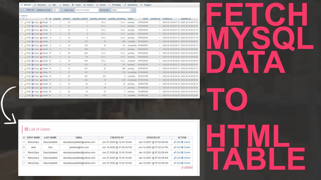 PHP PROJECT: How To Fetch Data from MySQL Database and Display in HTML Table using PHP PDO #tech