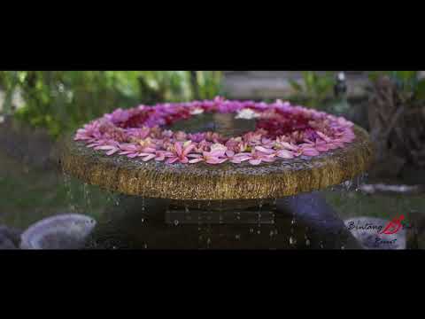 Video: 4,5* Bintang Bali Resort