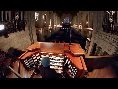 Pipe Organ — 5-Story Instrument
