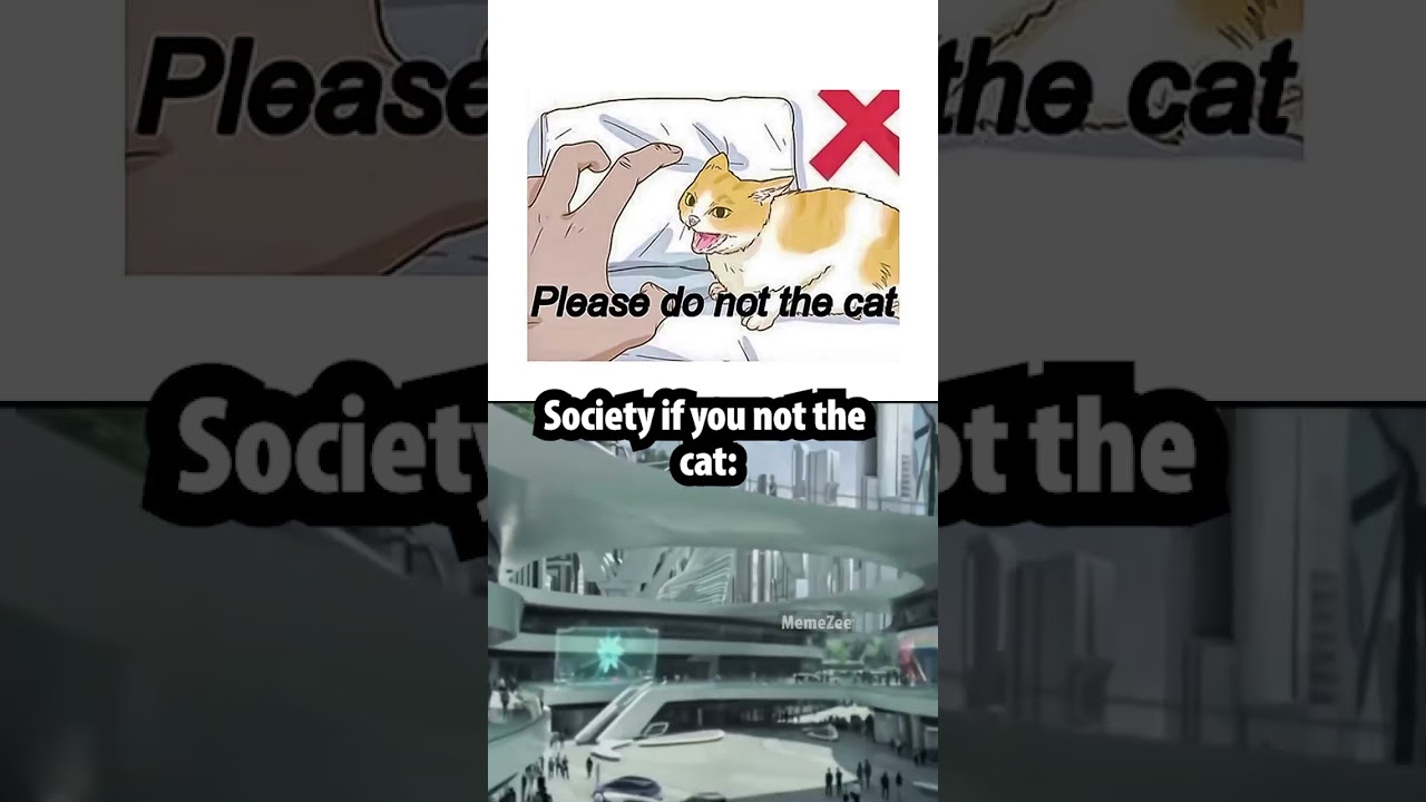 please do not the cat