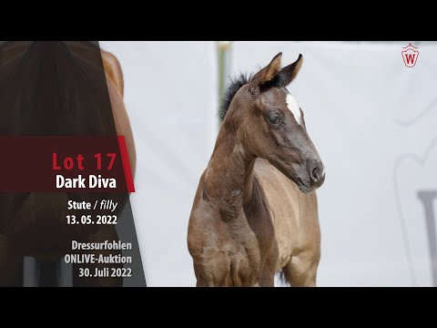 OnLive-Auktion Lot 17 Dark Diva Stute v. Dimaggio Black - Sir Fidergold