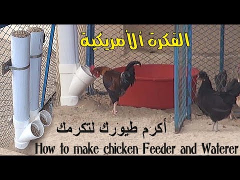 , title : 'Abdullah Minor كيف تعمل حافظة طعام لطيورك'